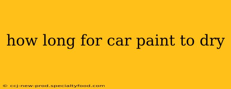 how long for car paint to dry