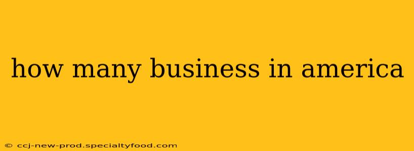 how many business in america