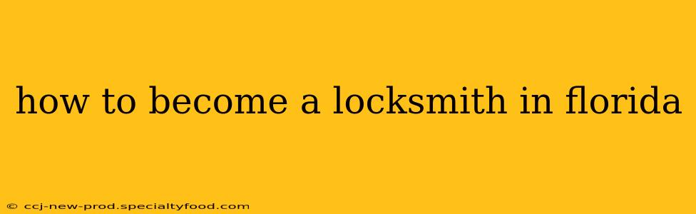 how to become a locksmith in florida