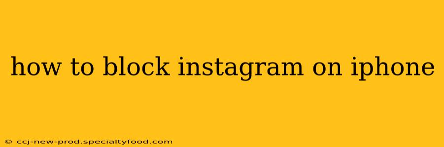 how to block instagram on iphone