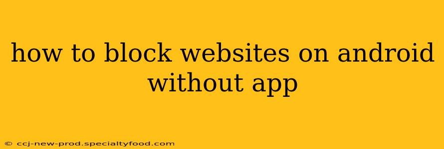 how to block websites on android without app
