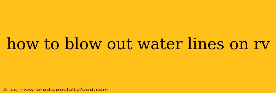 how to blow out water lines on rv