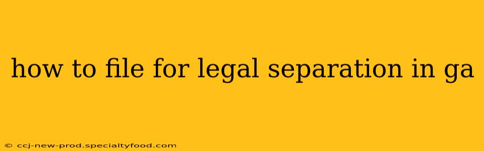 how to file for legal separation in ga