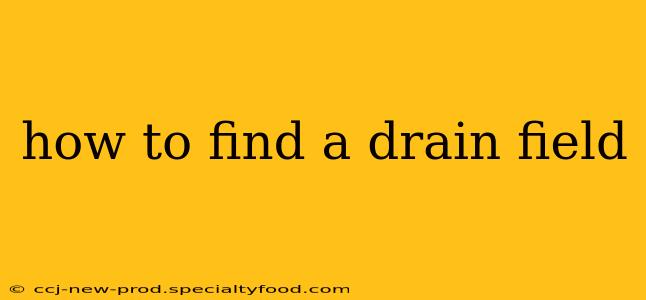 how to find a drain field