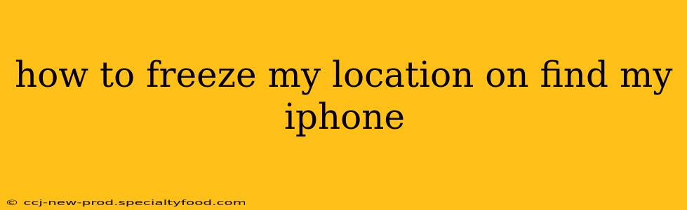 how to freeze my location on find my iphone