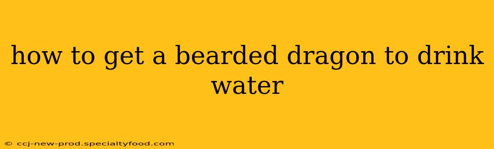 how to get a bearded dragon to drink water