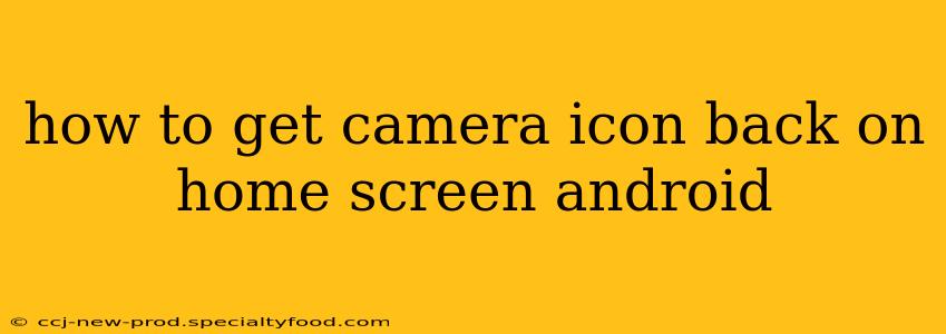 how to get camera icon back on home screen android