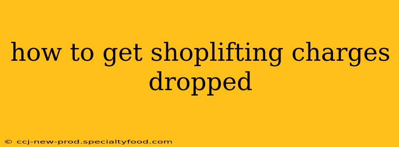 how to get shoplifting charges dropped