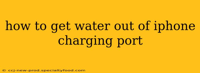 how to get water out of iphone charging port