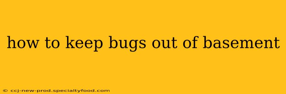 how to keep bugs out of basement