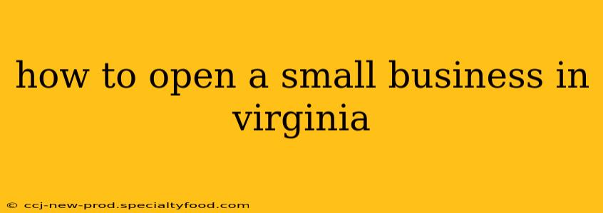 how to open a small business in virginia