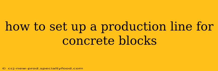 how to set up a production line for concrete blocks