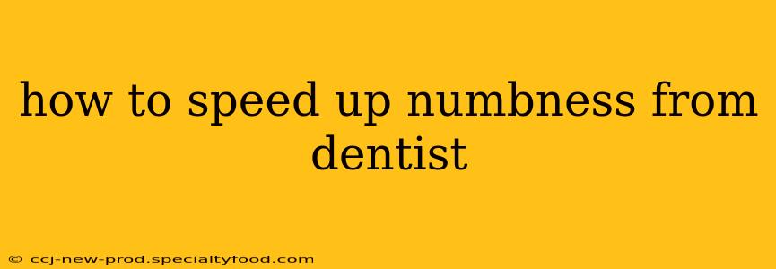 how to speed up numbness from dentist