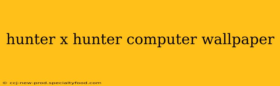 hunter x hunter computer wallpaper