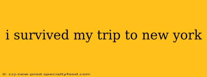 i survived my trip to new york