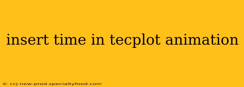 insert time in tecplot animation