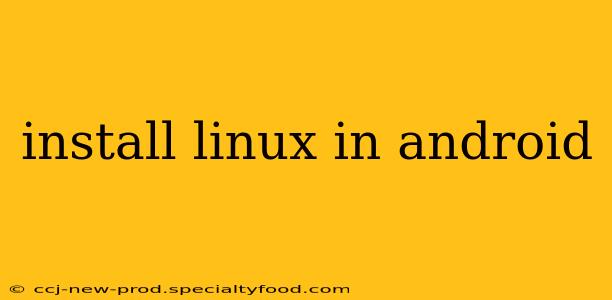 install linux in android
