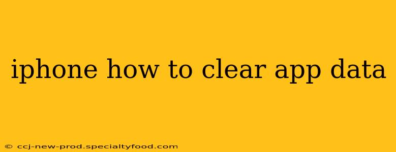 iphone how to clear app data