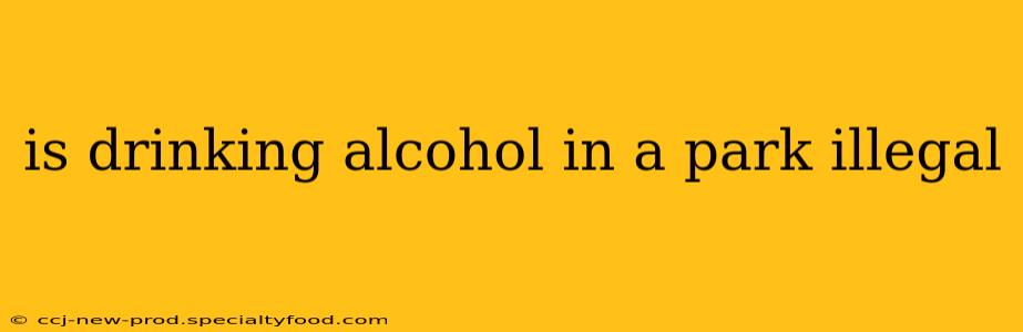 is drinking alcohol in a park illegal