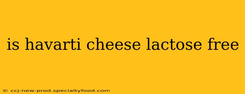 is havarti cheese lactose free