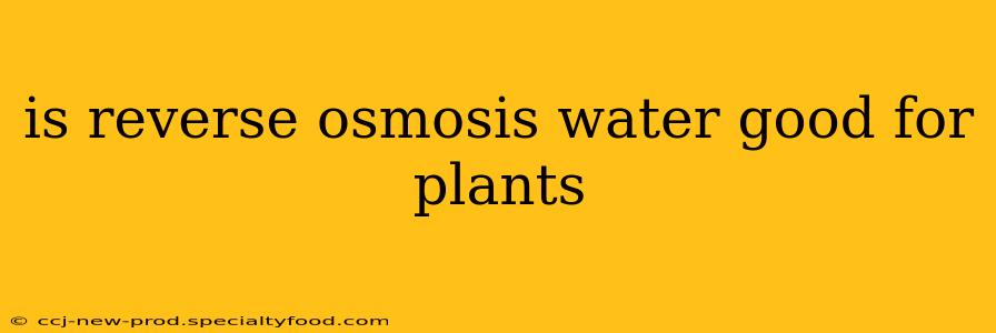 is reverse osmosis water good for plants