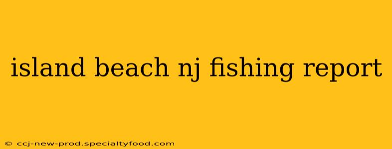 island beach nj fishing report