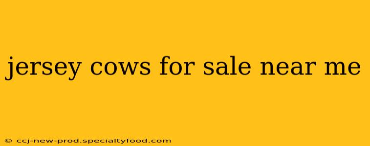 jersey cows for sale near me
