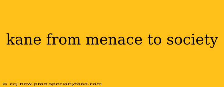 kane from menace to society