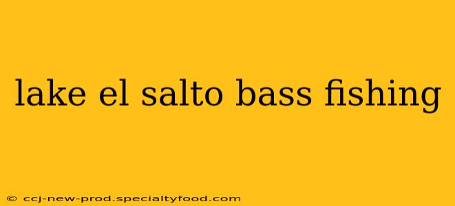 lake el salto bass fishing