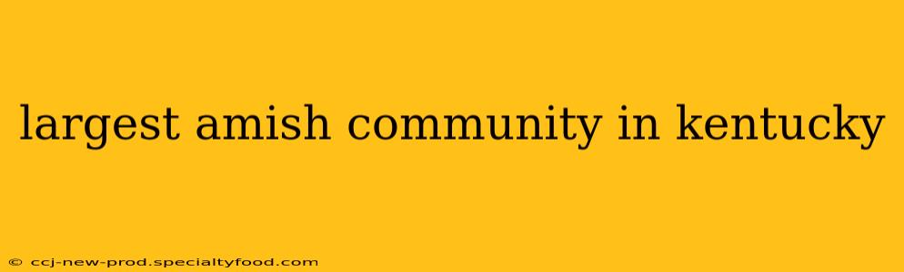 largest amish community in kentucky