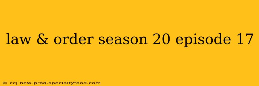 law & order season 20 episode 17