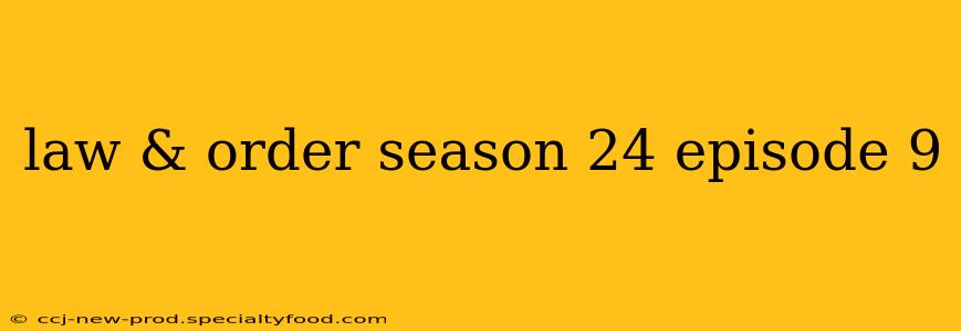 law & order season 24 episode 9
