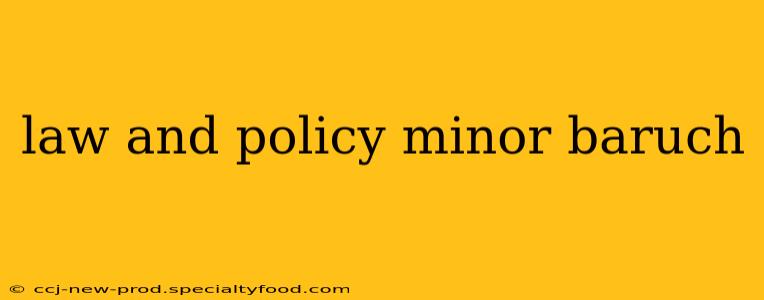 law and policy minor baruch