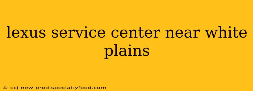 lexus service center near white plains