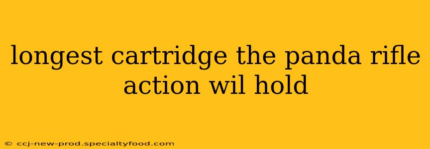 longest cartridge the panda rifle action wil hold