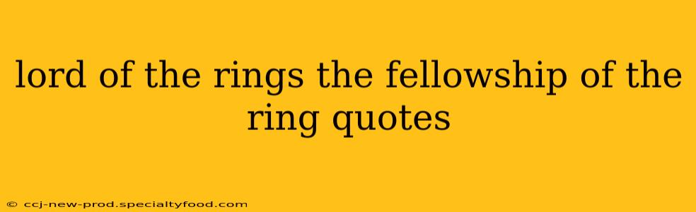 lord of the rings the fellowship of the ring quotes