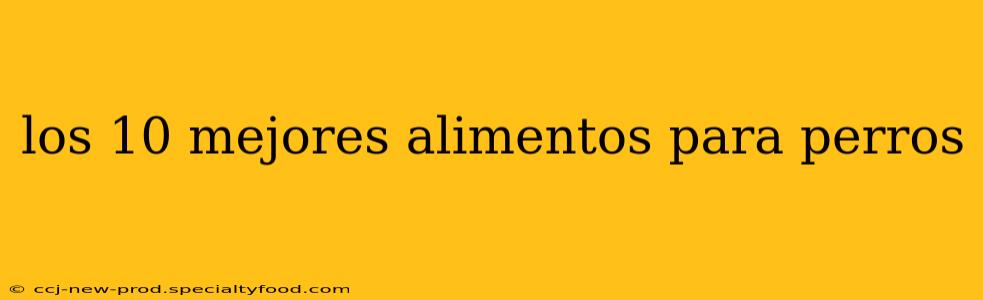 los 10 mejores alimentos para perros