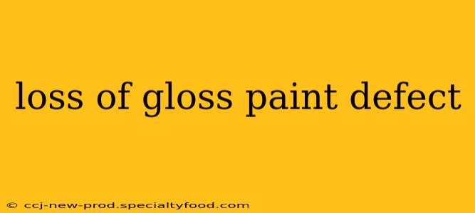 loss of gloss paint defect