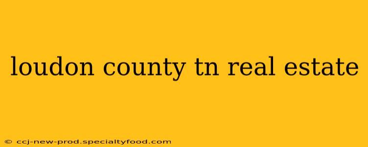 loudon county tn real estate