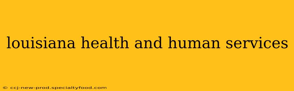 louisiana health and human services