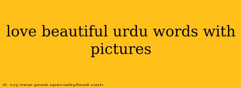 love beautiful urdu words with pictures
