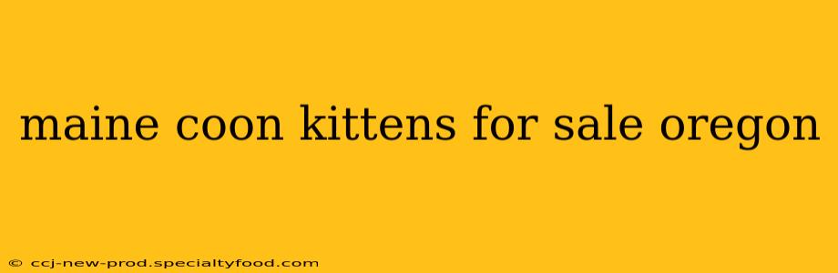 maine coon kittens for sale oregon