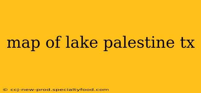 map of lake palestine tx