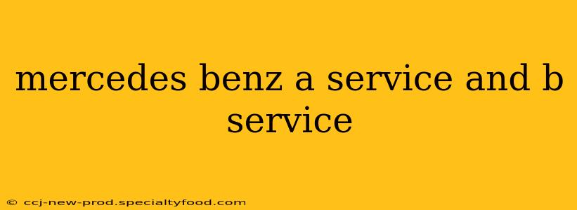 mercedes benz a service and b service