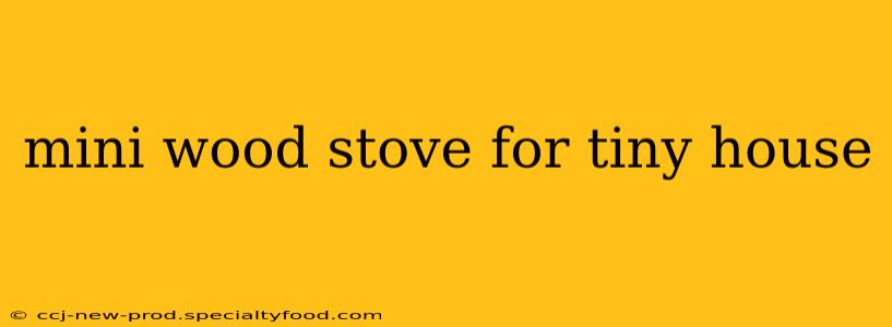 mini wood stove for tiny house
