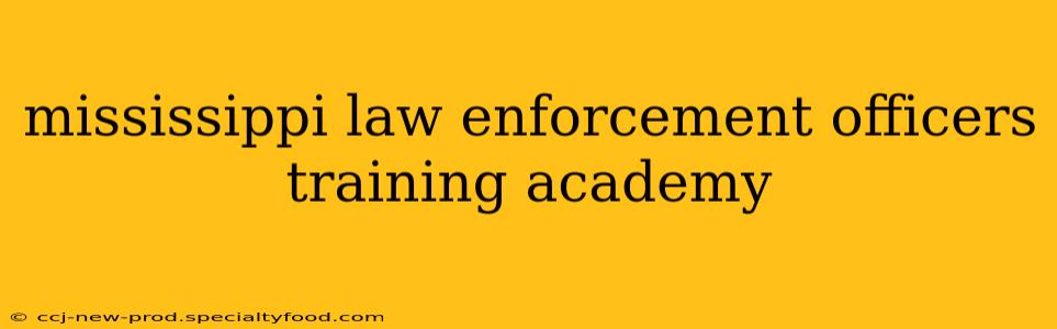 mississippi law enforcement officers training academy