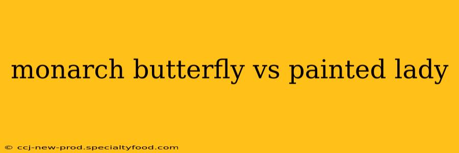 monarch butterfly vs painted lady