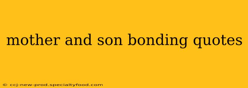 mother and son bonding quotes
