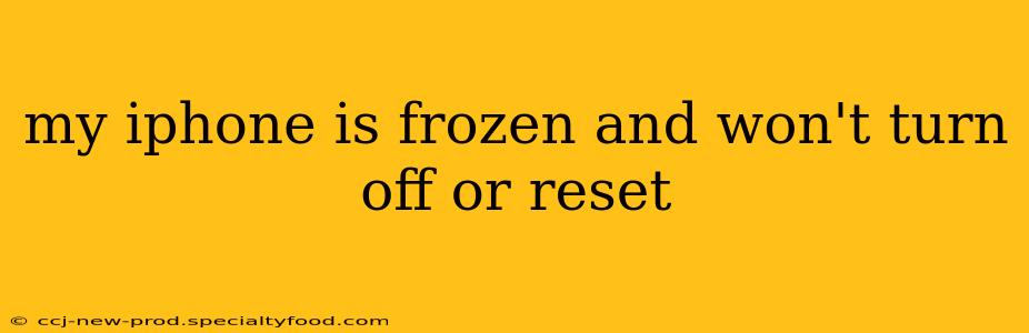 my iphone is frozen and won't turn off or reset