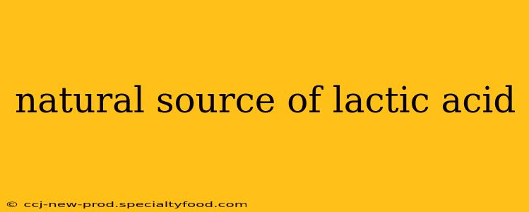 natural source of lactic acid